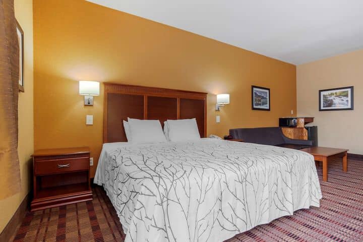 Room 7 of 31